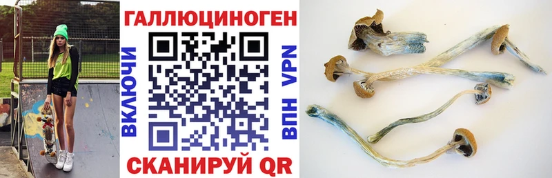 Галлюциногенные грибы Cubensis  Железногорск-Илимский 